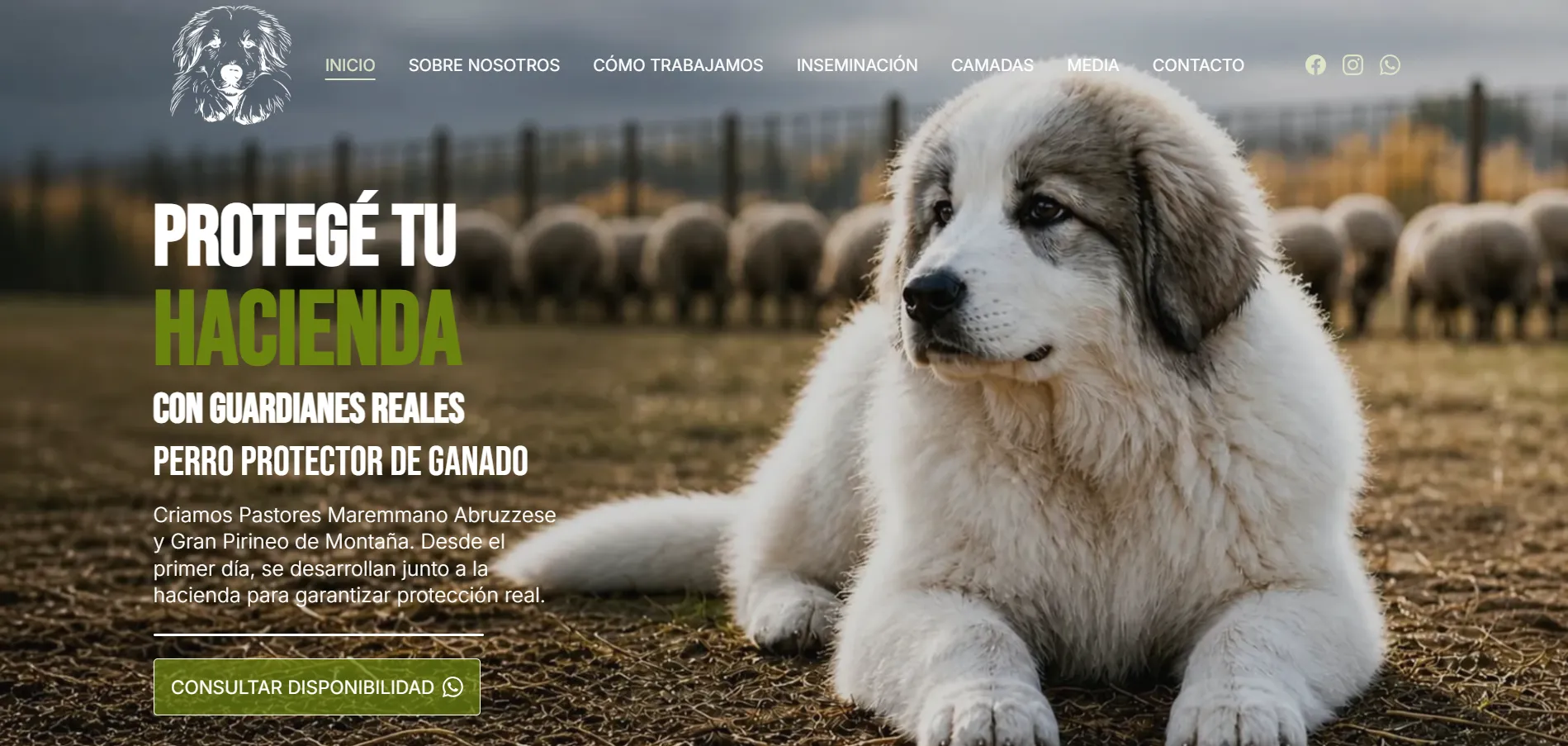 Perro Protector de Ganado